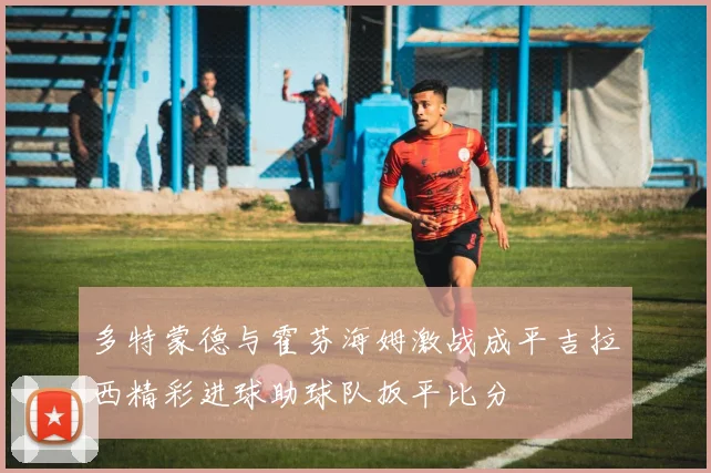 多特蒙德与霍芬海姆激战成平吉拉西精彩进球助球队扳平比分