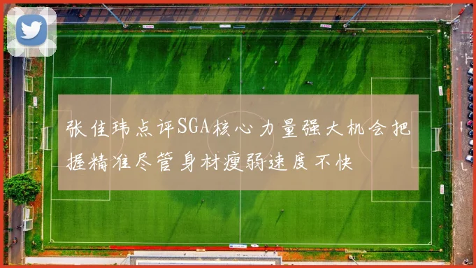 张佳玮点评SGA核心力量强大机会把握精准尽管身材瘦弱速度不快