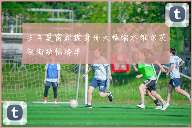 去年夏窗新援身价大幅缩水维尔茨领衔跌幅榜单
